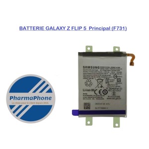 ACHETER BATTERIE GALAXY Z FLIP 5 principale  PAS CHER MARTINIQUE GUADELOUPE GUYANE