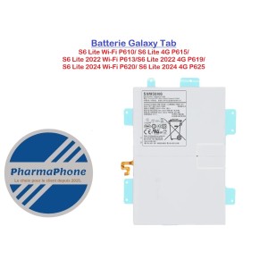REPARATION TABLETTE  Batterie  Galaxy Tab S6 Lite EN MARTINIQUE CHEZ PHARMAPHONE 0596  03 61 92