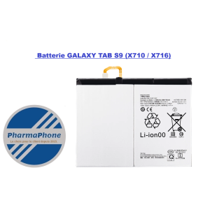 Batterie IPAD 10 A2696 -A2757 aubaine antilles  martinique / guadeloupe /guyane