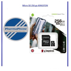 Micro SD 256 Go Classe 10 KINGSTON