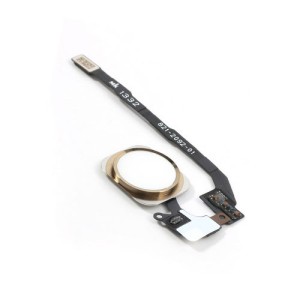 Nappe + bouton home - Gold - iPhone SE