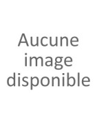 Ecran/ Moniteur