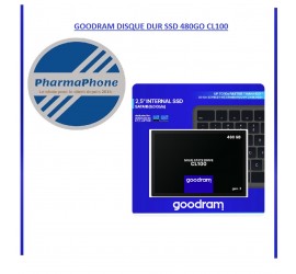 GOODRAM DISQUE DUR SSD 480GO CL100