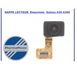 L'image du produit